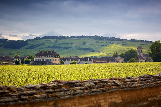Burgundy Club - September 2025