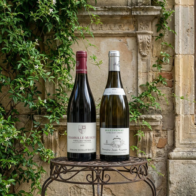 Burgundy Club: February 2026