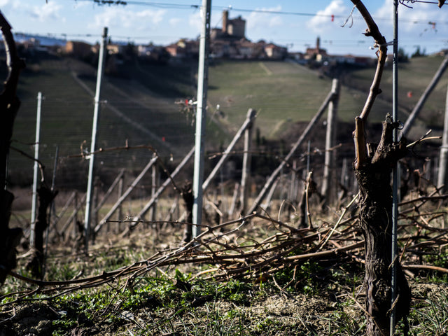 Three Reasons to Drink Small Production Wines